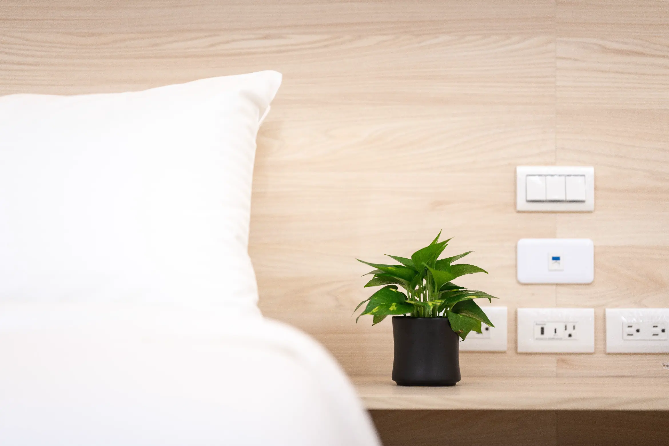 ＳＴ豪華六人房【三大床】